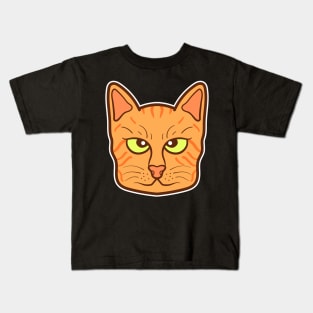 Orange domestic cat Kids T-Shirt